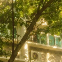 Tác giả ( Dancy౨ৎ )