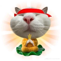 Tác giả