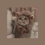 tác giả (mèo ú)