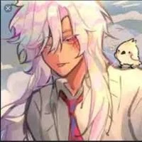 hiha hologram
