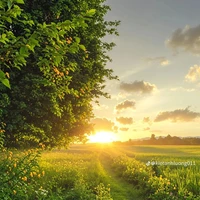 t/g thích xem audio