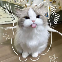 Hệ thống/tiểu hắc