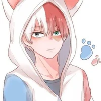 Todoroki Shoto