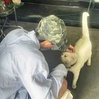 ALL ( trừ ai thì trừ  )