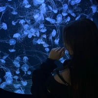 [E]Trương Hoàng Quỳnh Như_Yue_2008