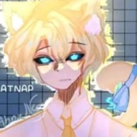 Hiha anticatnap