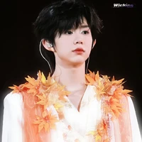 Trần Dịch Hằng_cậu