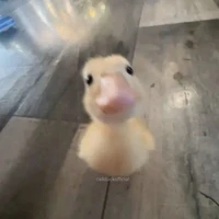 tẻn cute phomai que hột me số 1 thế giới