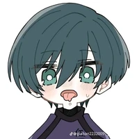Itoshi Rin (4t)