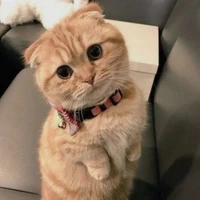 tất cả mọi người trong lớp