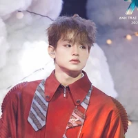 Bùi Trường Linh/buitruonglinh