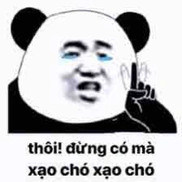 Tao( tác giả)