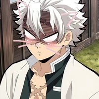 shinazugawa sanemi