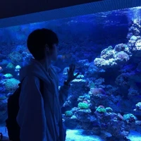 Quang CG¹ • quangcg