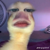 cô giáo