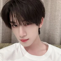 Đinh Trình Hâm