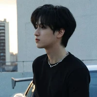 Nghiêm Hạo Tường