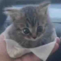 All Top trừ ai thì trừ