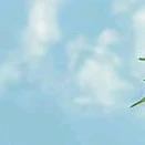 nv phụ k có cát xê