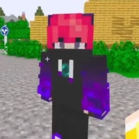 Hiha Enderman (bias😘)