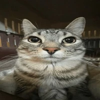 "💉-Bác sĩ-💉"