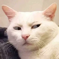 Thư
