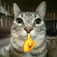 ???