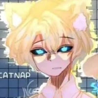 anti catnap ( mèo vàng)