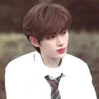 Đinh Trình Hâm