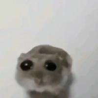 cherry(anti chôm chôm)