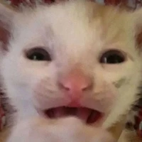 T/G