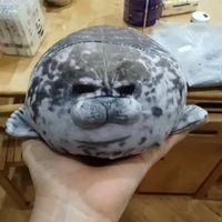 Tgiả