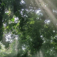 MN (- những ng nên -)