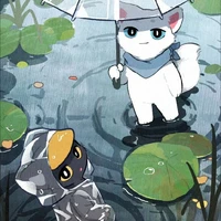 T/G-Mèo trắng