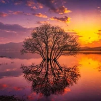 Tác giả _I Love Toán_