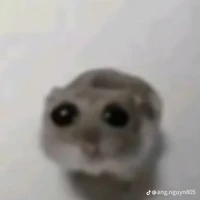 tất cả học sinh