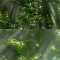 all top - nhx ng kh cần thiết