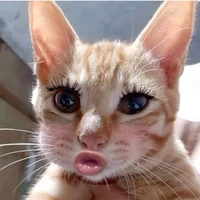 El.