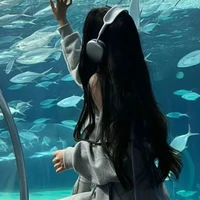 Nguyễn Trần Hà Anh