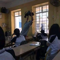 T/G