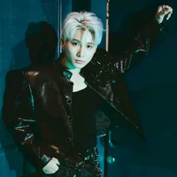 Lê Hồng Sơn/Sơnk