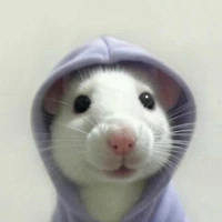 Hì