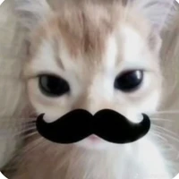 tất cả mn