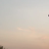người đóng vai tất cả nhân vật
