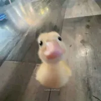 Cá Biết Bayyyyy (tác giả)