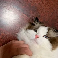 ✧Nhiên Nhiên✧
