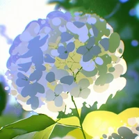 All (trừ ai cần trừ)