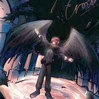 hiha crow