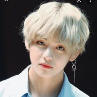 Kim Taehyung "V"