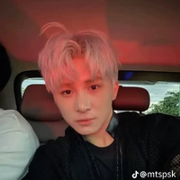 lê Hồng Sơn →Sơnk